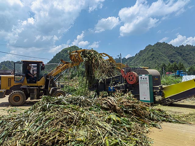 秸稈青貯粉碎機(jī)粉碎后的青貯適合多種養(yǎng)殖場使用